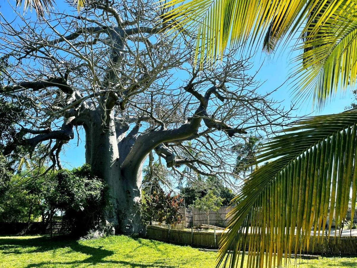 Baobab Beach Vilanculos Dış mekan fotoğraf