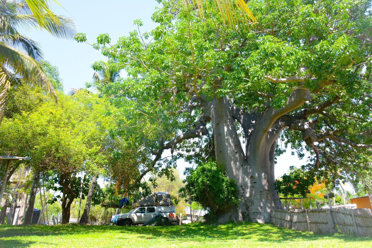 Baobab Beach Vilanculos Dış mekan fotoğraf